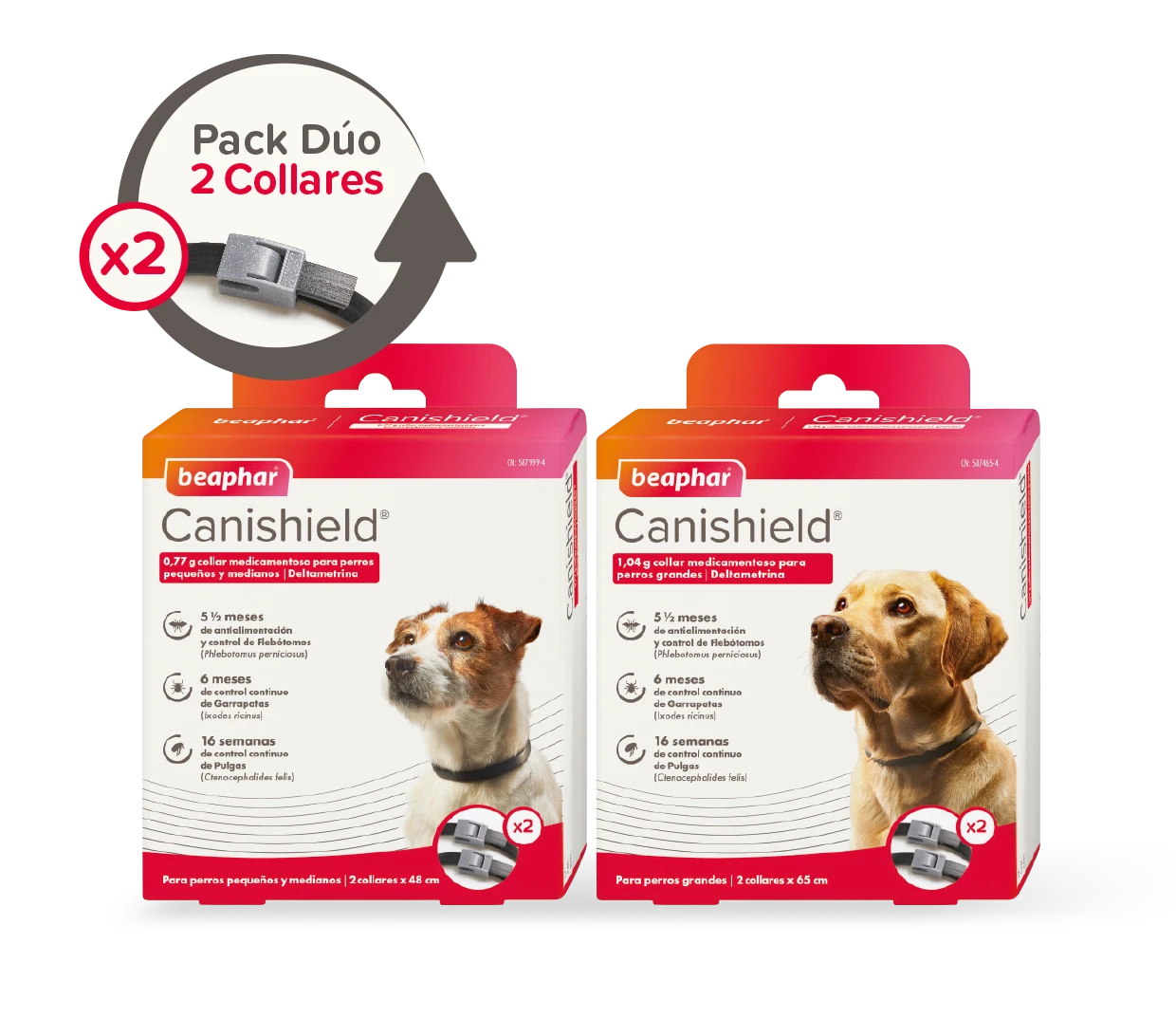 BEAPHAR Collar Canishield Antiparásitos Para Perros Pequeños 10 BEAPHAR Collar Canishield Antiparásitos Para Perros Pequeños - Imagen 8