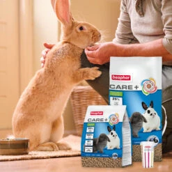 BEAPHAR Pienso Care+ Conejo -Animalear Ventas 8711231184248 4