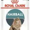 ROYAL CANIN Pack 12 Hairball Care Salsa -Animalear Ventas 93092 93092 rc fcn wet hairballcaregravy mv eretailkit es es 1 9