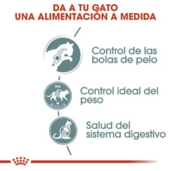 ROYAL CANIN Pack 12 Hairball Care Salsa -Animalear Ventas 93092 rc fcn wet hairballcaregravy cv eretailkit 2 es es 2