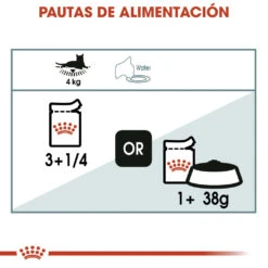ROYAL CANIN Pack 12 Hairball Care Salsa -Animalear Ventas 93092 rc fcn wet hairballcaregravy cv eretailkit 5 es es 5