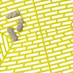 MODERNA Mp Bandeja Con Rejilla Lift To Sift Jumbo 9 MODERNA Mp Bandeja Con Rejilla Lift To Sift Jumbo -Animalear Ventas AA31 0329 lemon sift with poo 62c59c3642eb8