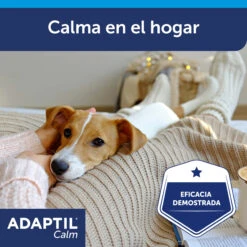Adaptil Difusor + Recambio - Tranquilizante Feromonas Para Perro -Animalear Ventas ADAPTIL Calm diffuser carousel 6 649ad2ebee4c5