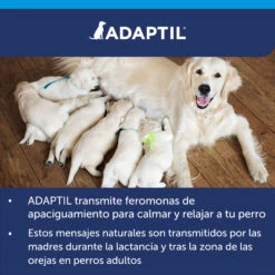Adaptil Difusor + Recambio - Tranquilizante Feromonas Para Perro -Animalear Ventas ADAPTIL Calm diffuser carousel 9 649ad2ec00c67
