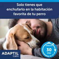 Adaptil Recambio - Tranquilizante Feromonas Para Perro 15 Adaptil Recambio - Tranquilizante Feromonas Para Perro -Animalear Ventas ADAPTIL Calm refill carousel 4 649ad320337c6