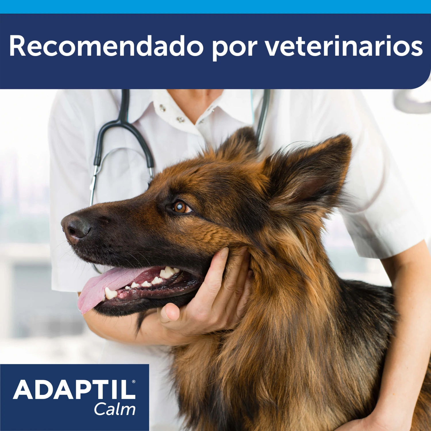 Adaptil Recambio - Tranquilizante Feromonas Para Perro 10 Adaptil Recambio - Tranquilizante Feromonas Para Perro - Imagen 8