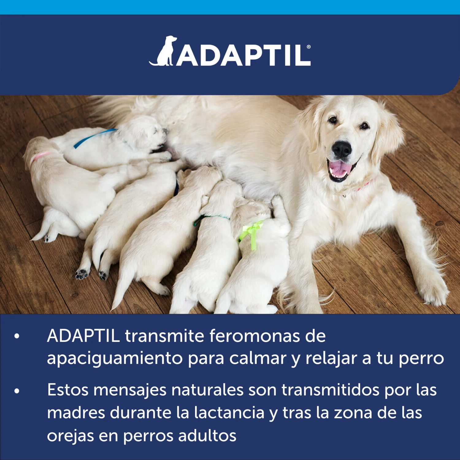 Adaptil Recambio - Tranquilizante Feromonas Para Perro 11 Adaptil Recambio - Tranquilizante Feromonas Para Perro - Imagen 9