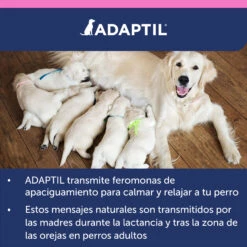Adaptil Collar Junior -Animalear Ventas ADAPTIL Junior carousel 10 649ad36bb26b4