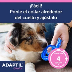 Adaptil Collar Junior -Animalear Ventas ADAPTIL Junior carousel 5 649ad36ba9fe5
