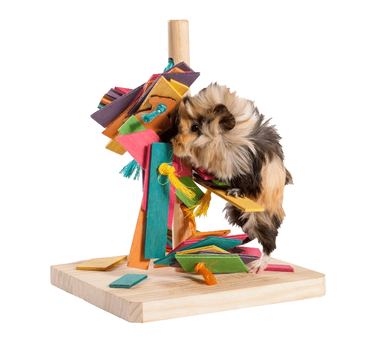 Juguete Arbol De Juego 4 Juguete Arbol De Juego - Imagen 2