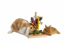 Juguete Arbol De Juego 7 Juguete Arbol De Juego -Animalear Ventas ARBOL JUGUETE2 634d79611feea