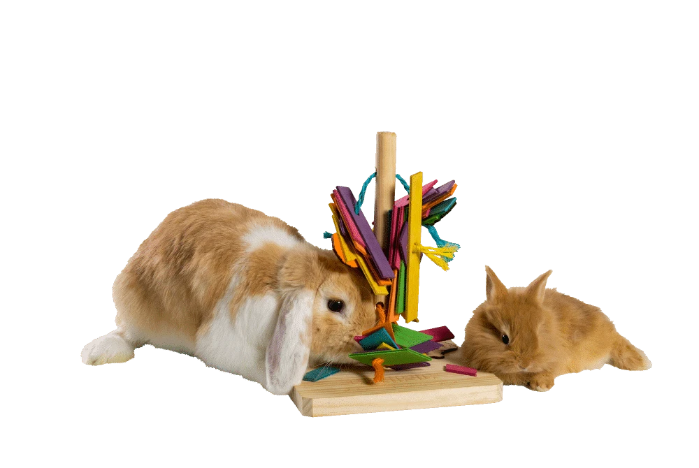 Juguete Arbol De Juego 5 Juguete Arbol De Juego - Imagen 3