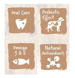 Adult Mini CorderoWild Jabalí Y Arroz 5 Adult Mini CorderoWild Jabalí Y Arroz -Animalear Ventas Adult Mini CorderoWild Jabali y Arroz 6448f0fa58b9c