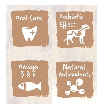 Adult Mini CorderoWild Jabalí Y Arroz 4 Adult Mini CorderoWild Jabalí Y Arroz - Imagen 2