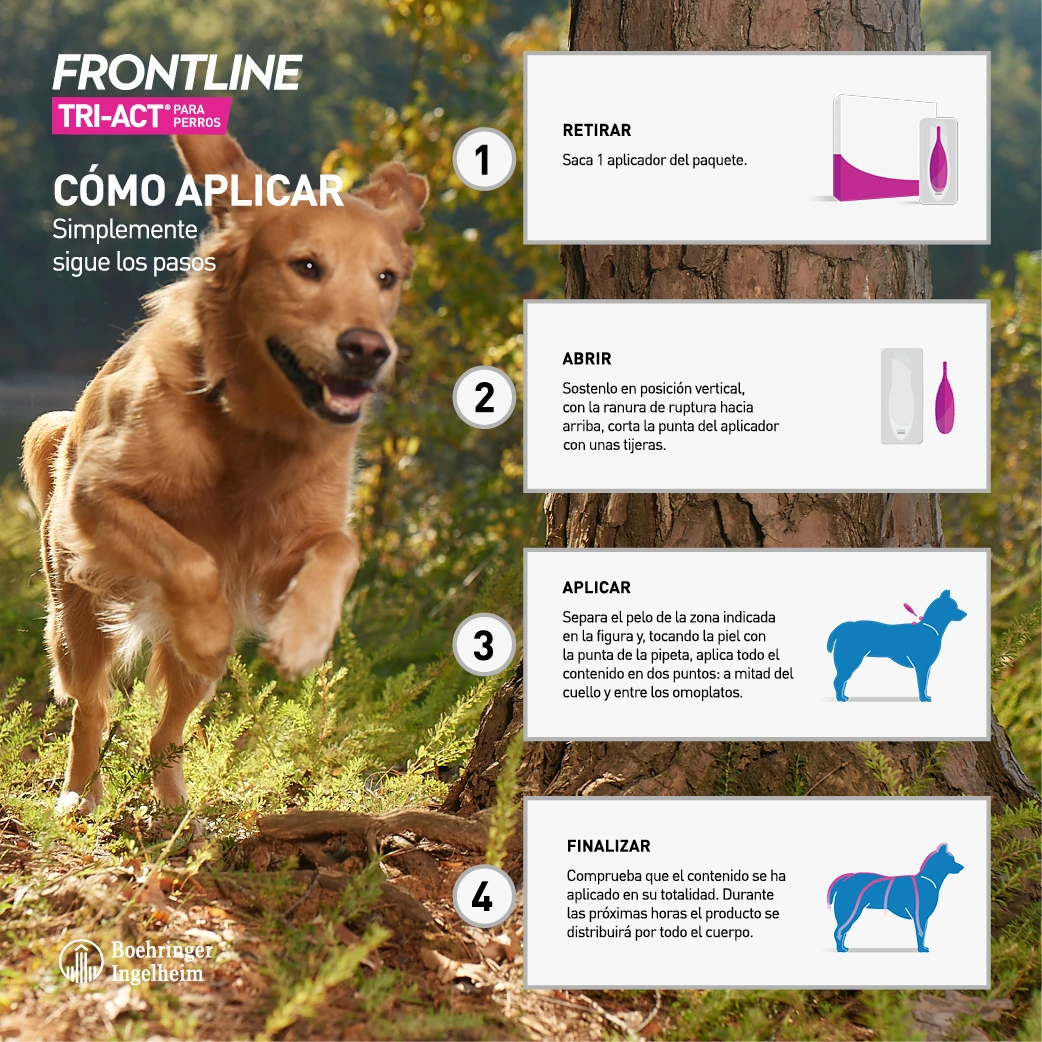 Frontline Pipetas Tri-Act Solucion Spot-On Para Perros 10-20 Kg 6 Frontline Pipetas Tri-Act Solucion Spot-On Para Perros 10-20 Kg - Imagen 4