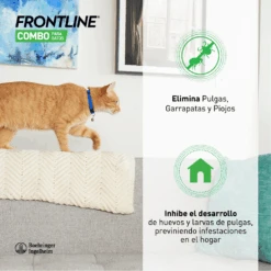 Frontline Pipetas Combo Spot-On Para Gatos -Animalear Ventas Aplic5 6267f8ba01fdf