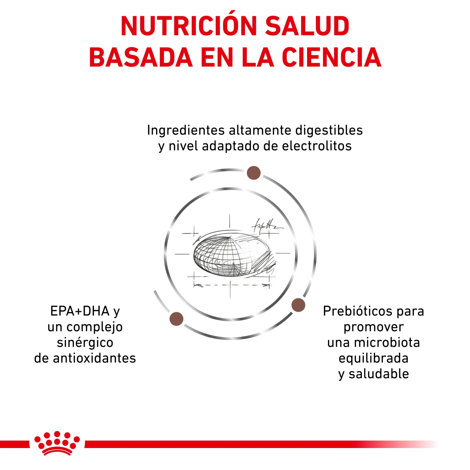 ROYAL CANIN VD Canine Gastro Intestinal Moderate Calorie 9 ROYAL CANIN VD Canine Gastro Intestinal Moderate Calorie - Imagen 7