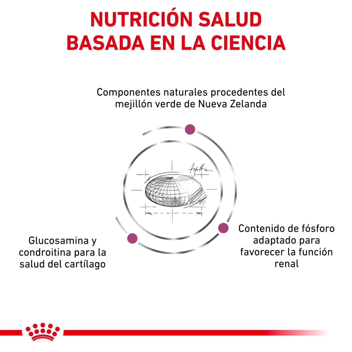 ROYAL CANIN VD Feline Mobility 5 ROYAL CANIN VD Feline Mobility - Imagen 3