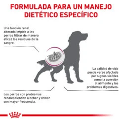 ROYAL CANIN VD Canine Renal -Animalear Ventas BENEFICIOS 2 62fcca574dfa0