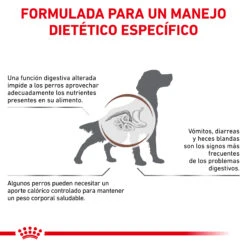ROYAL CANIN VD Canine Gastro Intestinal Moderate Calorie 19 ROYAL CANIN VD Canine Gastro Intestinal Moderate Calorie -Animalear Ventas BENEFICIOS 62fcc1fb3bcdf