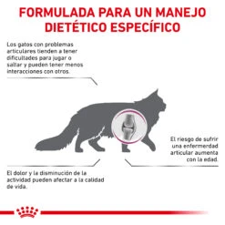ROYAL CANIN VD Feline Mobility 15 ROYAL CANIN VD Feline Mobility -Animalear Ventas BENEFICIOS 62fce5afc7622
