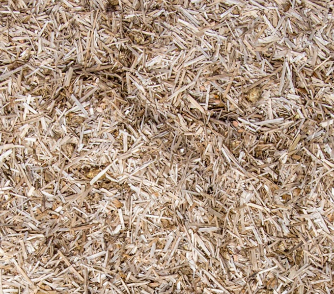 Bunny Bedding Active 4 Bunny Bedding Active - Imagen 2