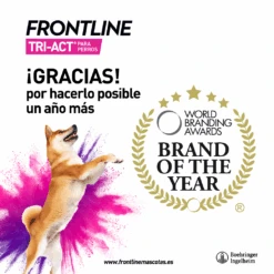 Frontline Pipetas Tri-Act Solució Spot-On Para Perros De 2-5 Kg -Animalear Ventas Brand 6267f6263aa43