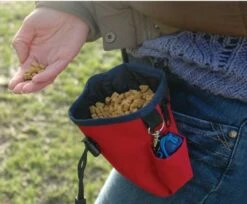 Bolsa Para Premios Clix Treat Bag -Animalear Ventas COA Treat Bag PP MG 6 62331e9a5c7d0