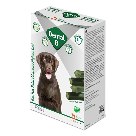 Dental B 5 Dental B - Imagen 3