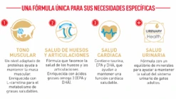 ROYAL CANIN British Shorthair Pienso Para Gato Adulto De Raza 23 ROYAL CANIN British Shorthair Pienso Para Gato Adulto De Raza -Animalear Ventas FBN Adult BritishShorth desk ES mod5 6303514c991cc