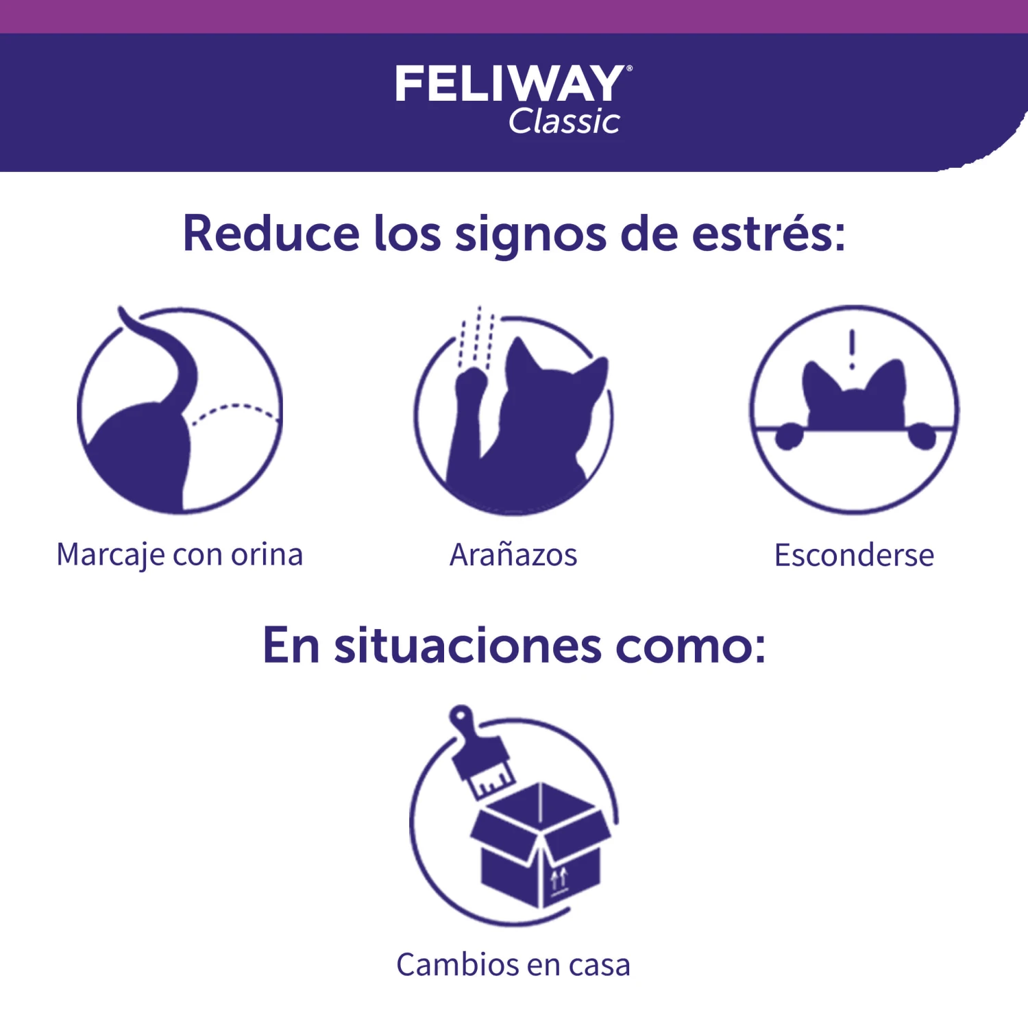 Feliway Recambio 6 Feliway Recambio - Imagen 4