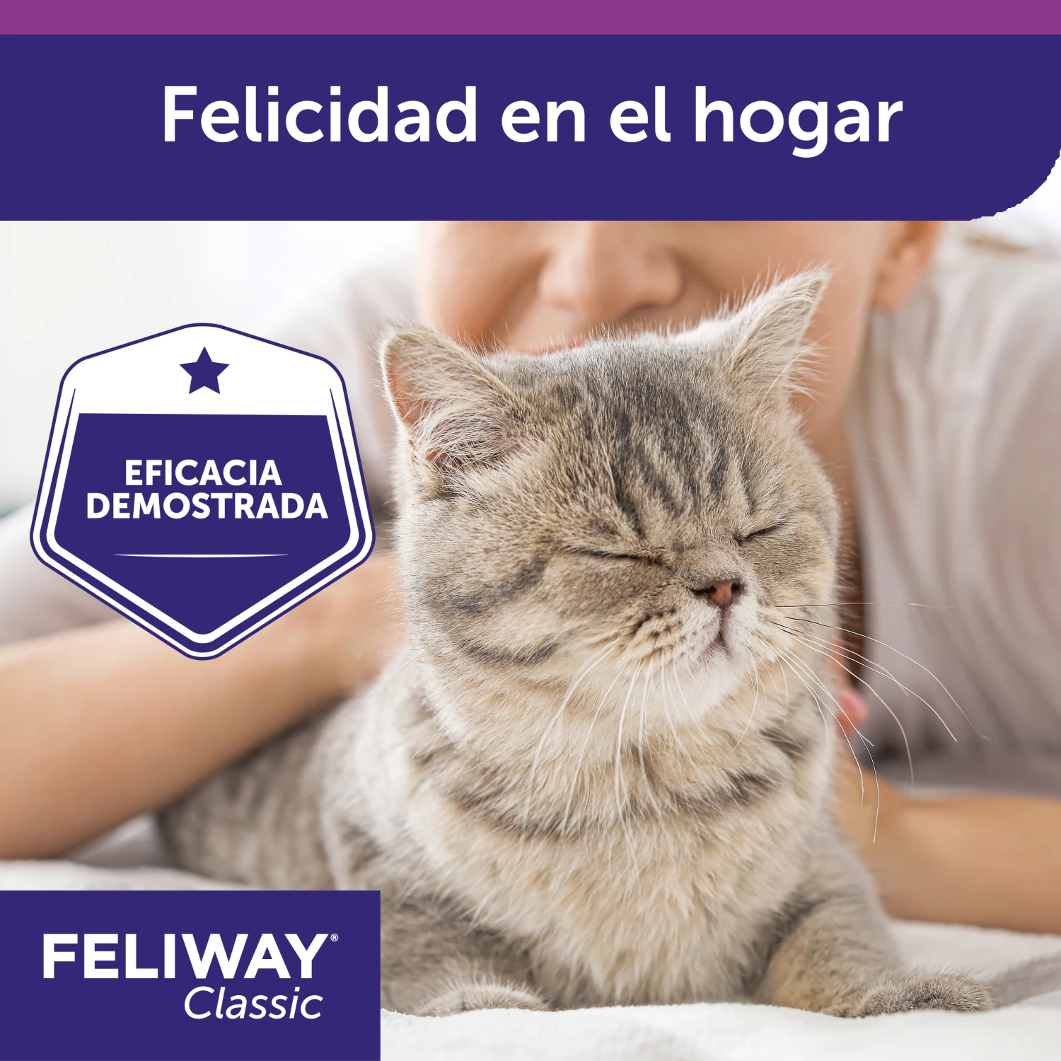 Feliway Recambio 11 Feliway Recambio - Imagen 9