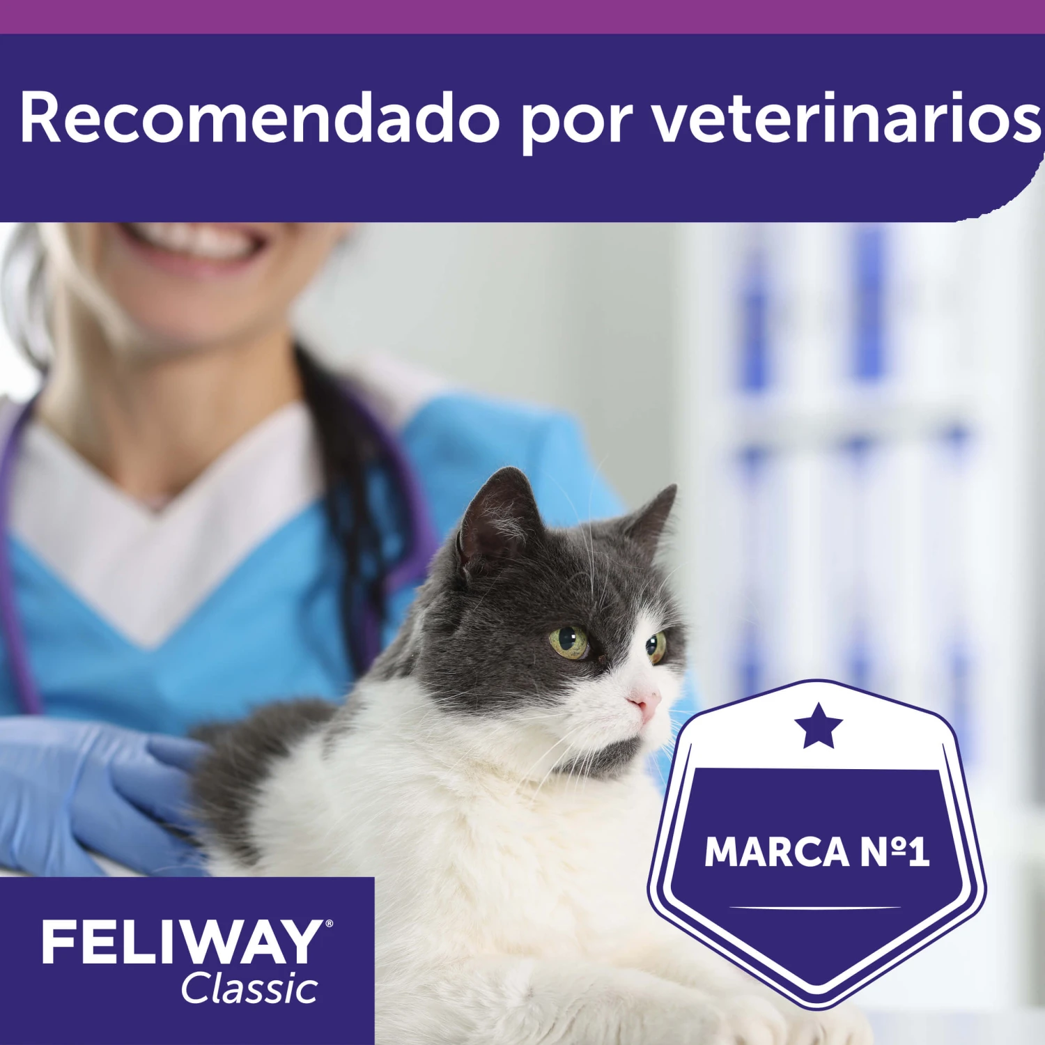 Feliway Recambio 12 Feliway Recambio - Imagen 10
