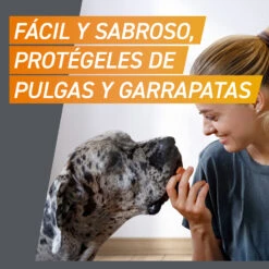 Comprimidos Masticables Antisitarios Perros De 4 A 10 Kg (28 Mg) 18 Comprimidos Masticables Antisitarios Perros De 4 A 10 Kg (28 Mg) -Animalear Ventas FRONTPRO SI02 HERO MESSAGE es 63bd34cfcc9dc