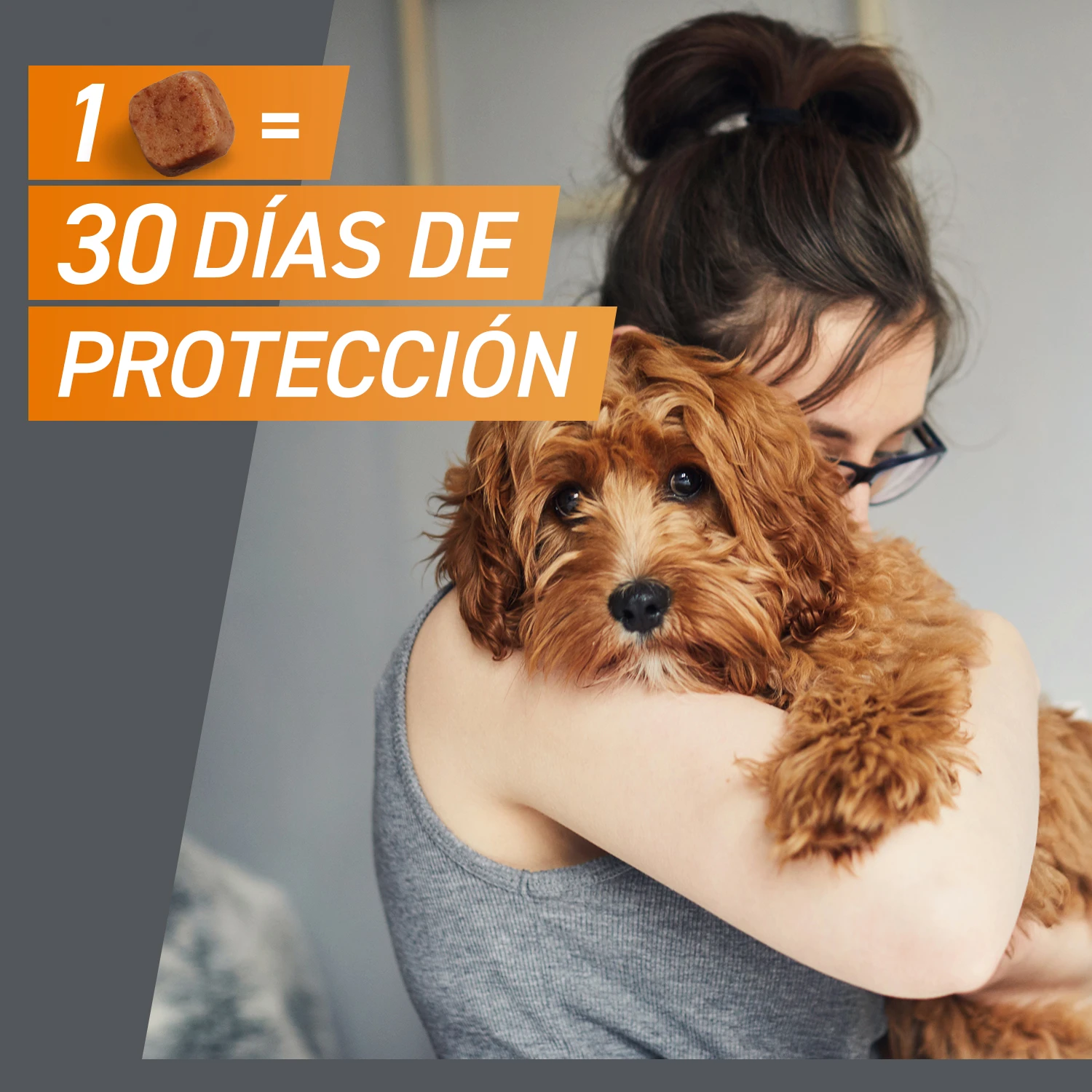 Comprimidos Masticables Antisitarios Perros De 4 A 10 Kg (28 Mg) 7 Comprimidos Masticables Antisitarios Perros De 4 A 10 Kg (28 Mg) - Imagen 5