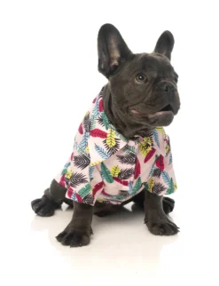 Fuzzyard Camiseta Hawaiana Ohana -Animalear Ventas FZAW291 7 HawaiianShirt Ohana Dog 4 649ab53173e36