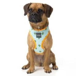 Fuzzyard Arnés Tucson -Animalear Ventas FZH105 1 62c2a1d8a0f11