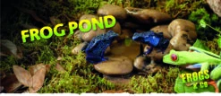 EXO TERRA Estanque Ranas -Animalear Ventas Frog Pond Banner 64625aabd938e