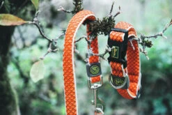 Hunter Collar Hilo Vario Basic -Animalear Ventas HU66648 HU66649 1 62ac577295e99