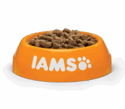 IAMS Cat Light -Animalear Ventas IAMS Vitality Cat Light In Fat Bowl Angle 490544 63049996dd12e