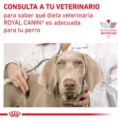 ROYAL CANIN Pack 12 Comida Húmeda Gastro Intestinal Low Fat Canine 14 ROYAL CANIN Pack 12 Comida Húmeda Gastro Intestinal Low Fat Canine -Animalear Ventas INFO 62fcc2da91416