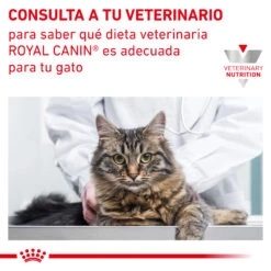 ROYAL CANIN VD Feline Mobility 18 ROYAL CANIN VD Feline Mobility -Animalear Ventas INFO 62fce5b41f033