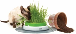 Catit Germinador De Hierba Gatera Senses 2.0 13 Catit Germinador De Hierba Gatera Senses 2.0 -Animalear Ventas Imagem3 637611e64718c