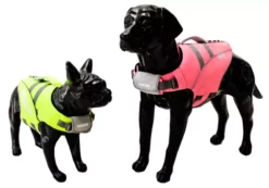 Chaleco Salvavidas -Animalear Ventas KANESJOB 27 64d0d1b5607b7