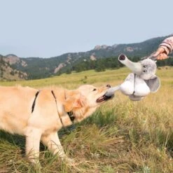 KONG Stretchezz Legz Bear Para Perros -Animalear Ventas KONG Stretchezz Legz 641994f582a85