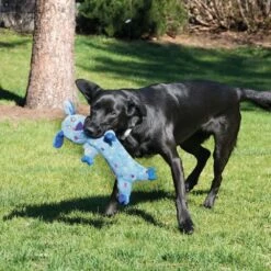 KONG Peluche Speckles Mono Para Perros -Animalear Ventas LWS13 2 1000x1000 62ea3fe38b36a