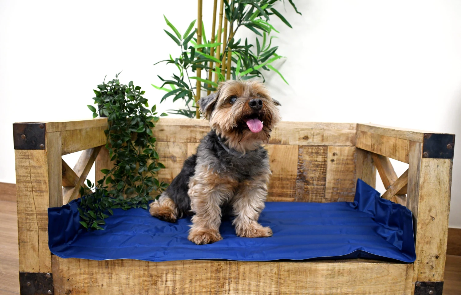 Manta Refrescante Cool Mat Azul Marino Para Perros Y Gatos 4 Manta Refrescante Cool Mat Azul Marino Para Perros Y Gatos - Imagen 2