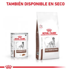 ROYAL CANIN Comida Húmeda Gastro Intestinal Canine 12 ROYAL CANIN Comida Húmeda Gastro Intestinal Canine -Animalear Ventas MIX FEEDING 62fcc2751a8bd