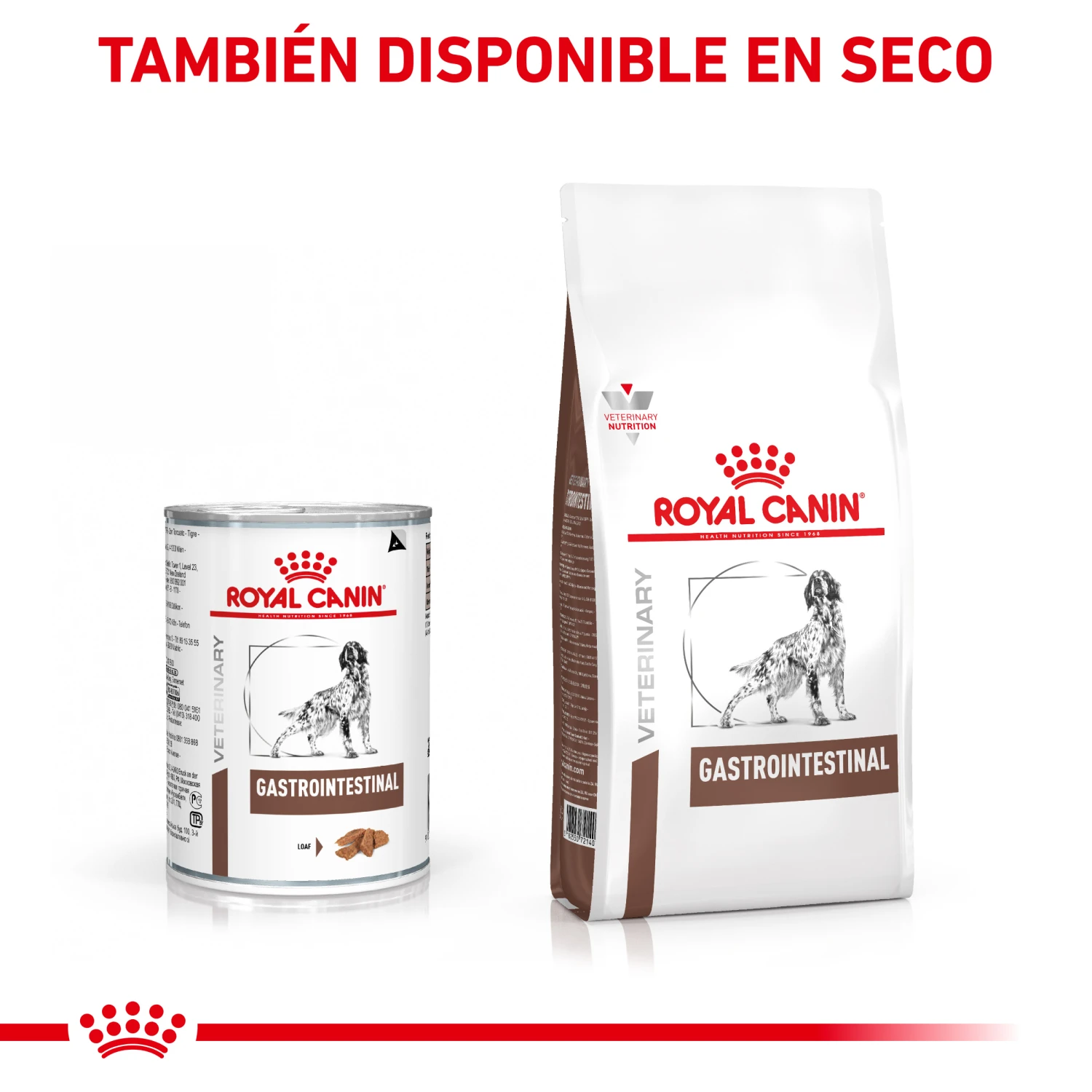 ROYAL CANIN Comida Húmeda Gastro Intestinal Canine 6 ROYAL CANIN Comida Húmeda Gastro Intestinal Canine - Imagen 4