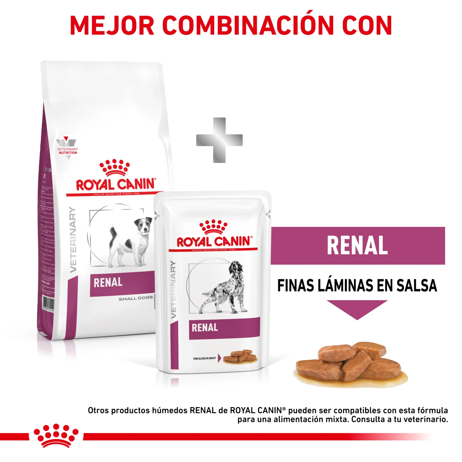 ROYAL CANIN Renal Small Dog 5 ROYAL CANIN Renal Small Dog - Imagen 3
